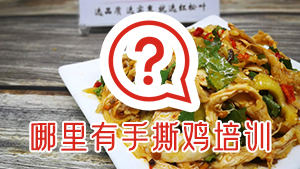 哪里有手撕鸡技术培训？