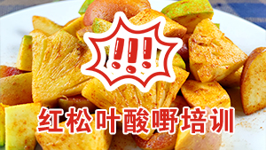 柳州哪里有酸嘢培训？红松叶水果酸 / 蔬菜酸教学，学费1200元起