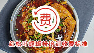 红松叶柳州螺蛳粉培训收费标准（2026版）